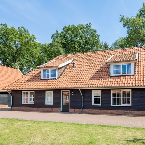 Group accommodation 14 persons - Twente Hoeve