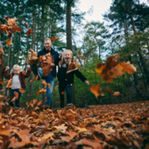Roompot Park Eksel - Camping Liege - Image N°4