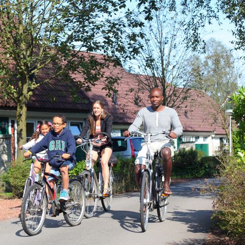 Roompot Vakantiepark Hellendoorn - Camping Hellendoorn - Image N°2