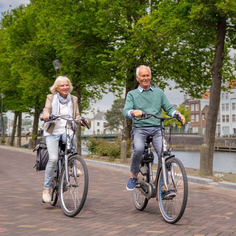 Landal Cape Helius - Hellevoetsluis - Image N°5