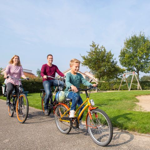 Roompot De Soeten Haert - Camping Renesse - Image N°3