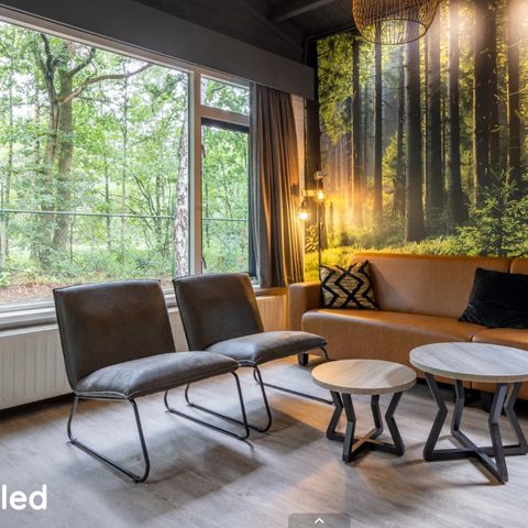 BUNGALOW 6 people - WV Comfort