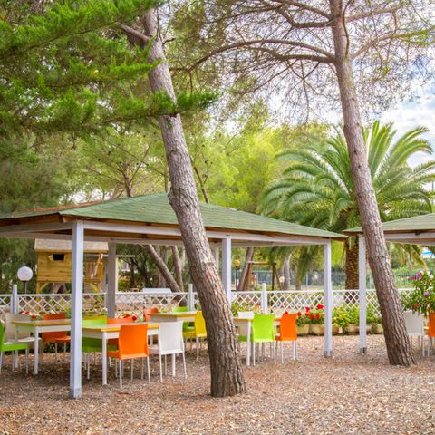 Camping Toscana Bella - Camping Livorno - Image N°6