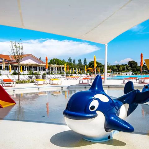 Camping Grand Kazela - Istria - Image N°6