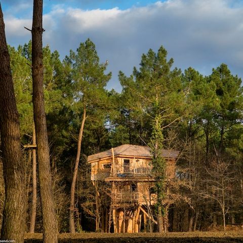 UNUSUAL ACCOMMODATION 4 people - Tree house BD400
