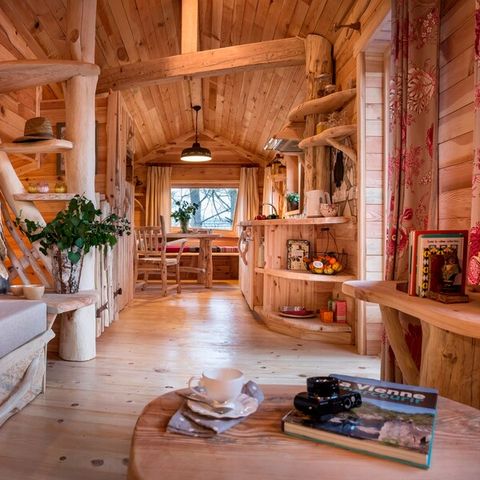 UNUSUAL ACCOMMODATION 4 people - Tree house BD400