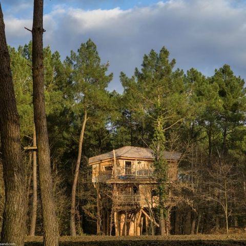UNUSUAL ACCOMMODATION 4 people - Tree house BD400