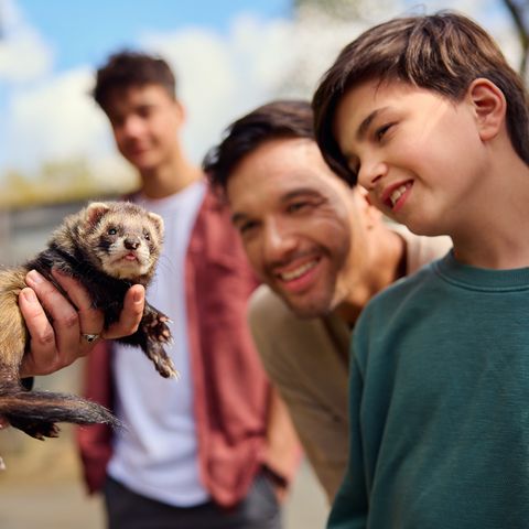 Center Parcs Le Bois aux Daims - Vienne  - Image N°5