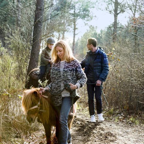 Center Parcs - Domaine Le Bois aux Daims - Camping Vienne  - Image N°2