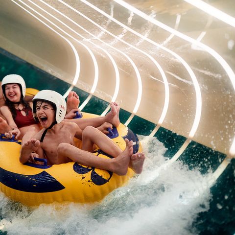 Center Parcs Le Bois aux Daims - Vienne  - Image N°4