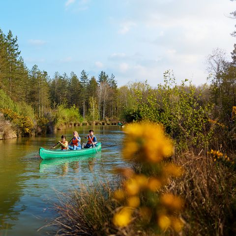Center Parcs Le Bois aux Daims - Vienne  - Image N°3