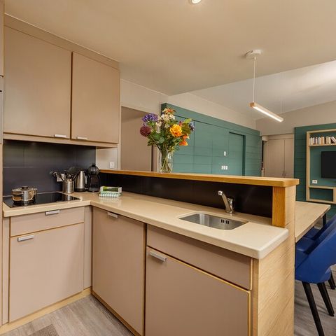 BUNGALOW 6 people - Vip Wood CH869