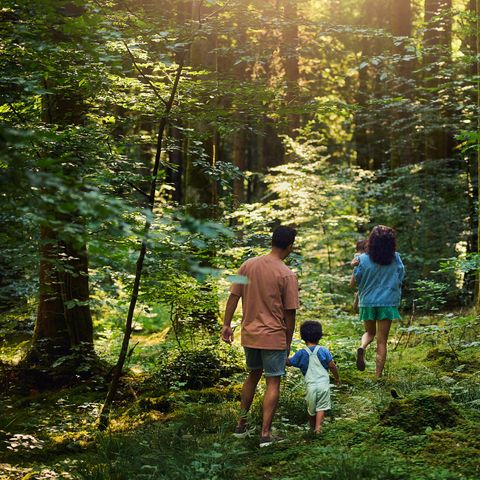 Center Parcs Les Trois Forêts - Moselle - Image N°6