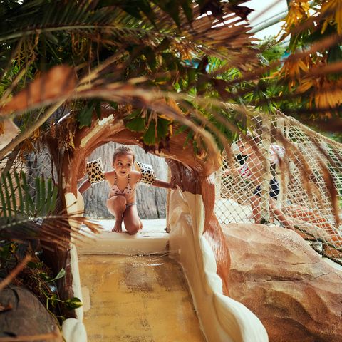 Center Parcs Le Lac d'Ailette - Aisne - Image N°5