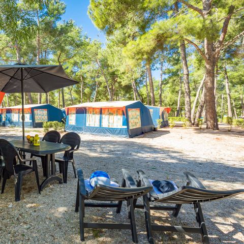 Canvas and wooden tent 6 persons - Bungalow tent
