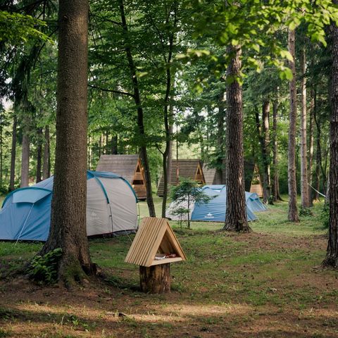 TENT 4 people - Tent with bed and mattress