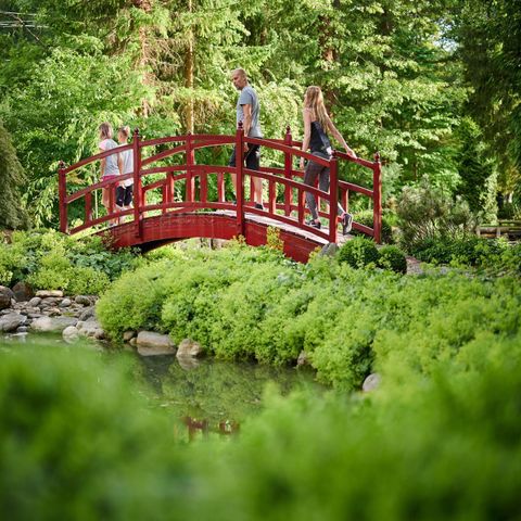 Forest Camping Mozirje - Solvenia - Image N°2