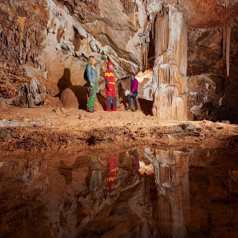 Forest Camping Mozirje - Solvenia - Image N°5