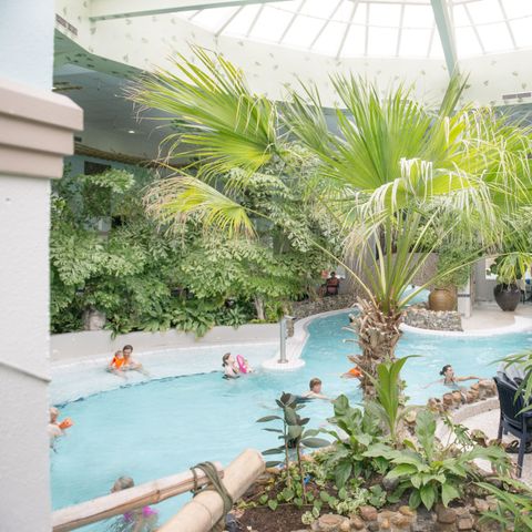 Center Parcs Port Zelande - Camping Goeree-Overflakkee - Image N°3