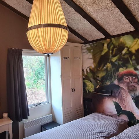 BUNGALOW 4 people - The Woodland Pigeon