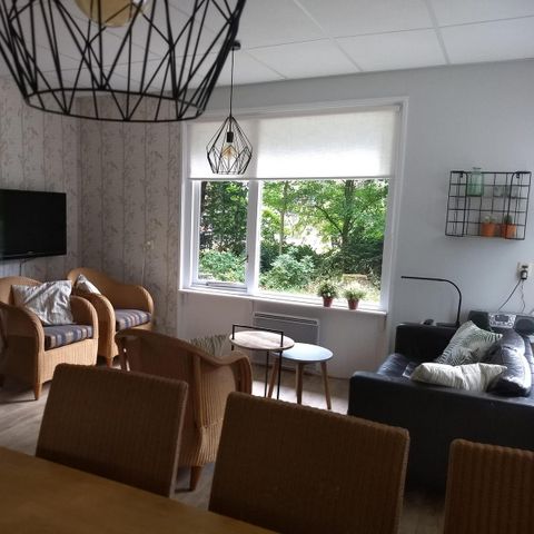 Bungalow 6 persons - Curlew