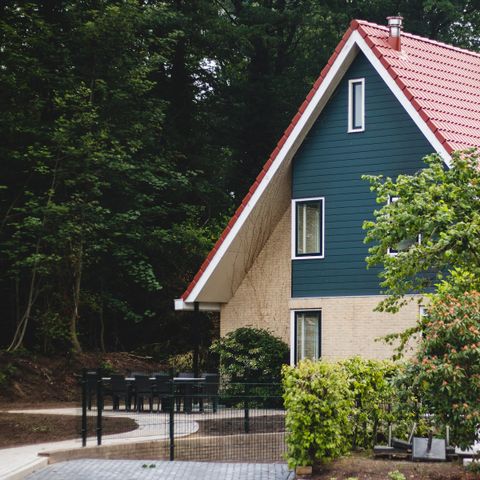 HOUSE 14 people - The Black Grouse