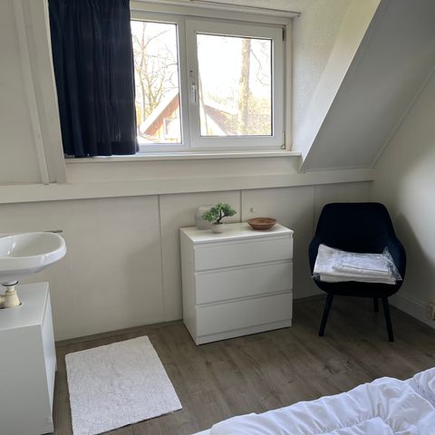 BUNGALOW 4 people - The Turtle Dove