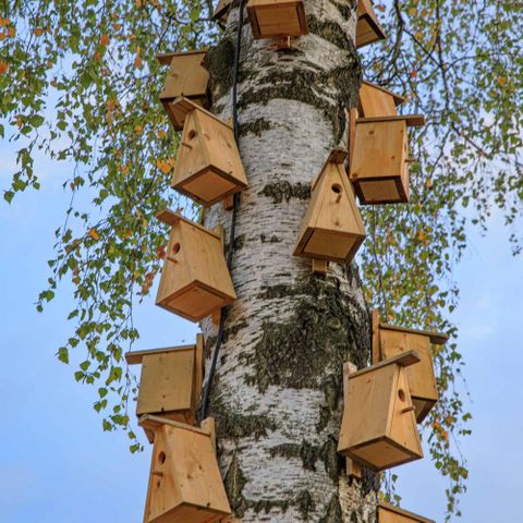 CHALET 2 people - Boutique suite