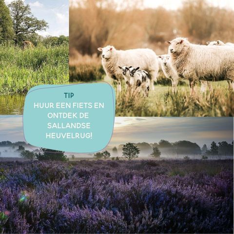 CANVAS AND WOOD TENT 5 people - The Bartenter