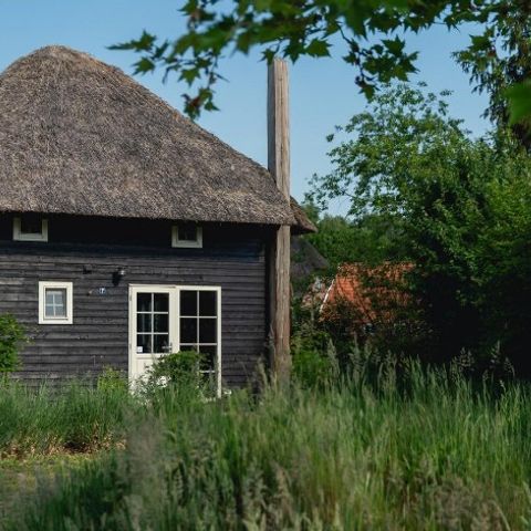 Bungalow 5 persons - Reggehooiberg with sauna and hot tub