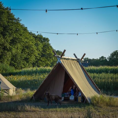 Group accommodation 32 persons - 6x luxury glamping tent