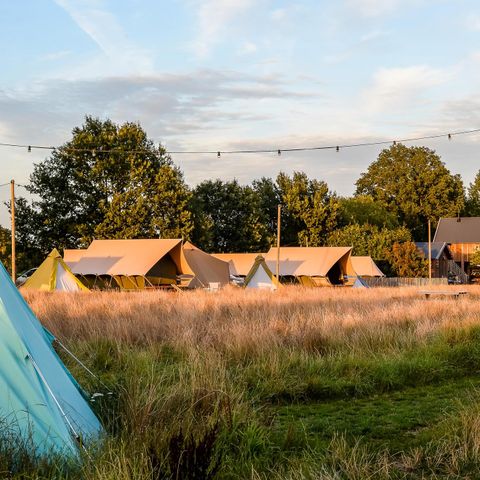 Group accommodation 32 persons - 6x luxury glamping tent