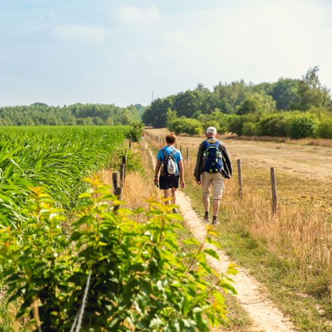 Vakantiepark Mölke - Camping Wierden - Image N°5