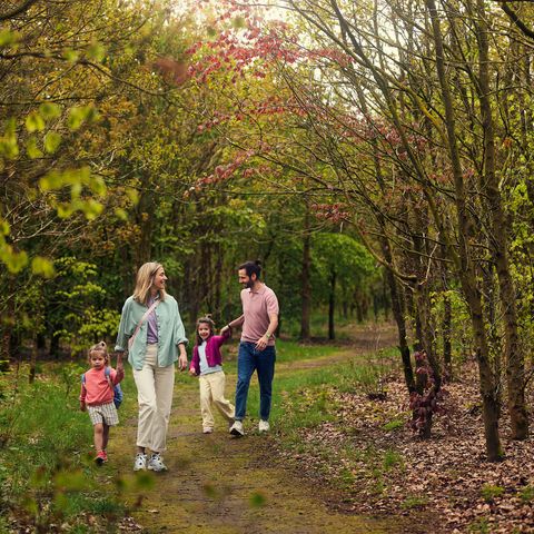 Center Parcs Het Meerdal - Horst an der Maas - Image N°4