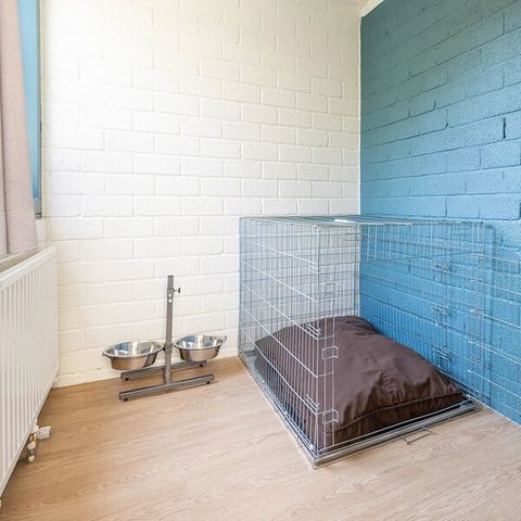 BUNGALOW 4 people - Premium Dogs MD2428