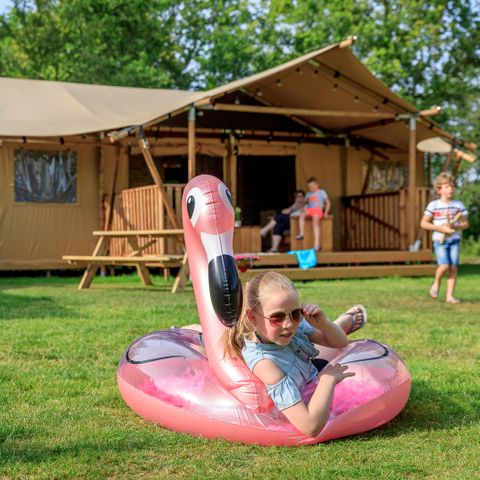 Canvas and wooden tent 6 persons - Safari tent 6 pers. Appelgaard