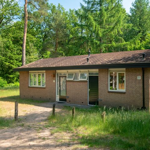 Bungalow 8 persons - 8C