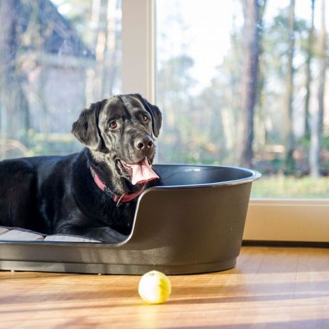 BUNGALOW 6 people - 6BD