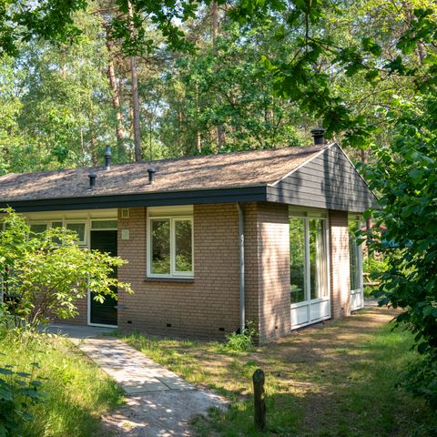 Bungalow 6 persons - 6CK