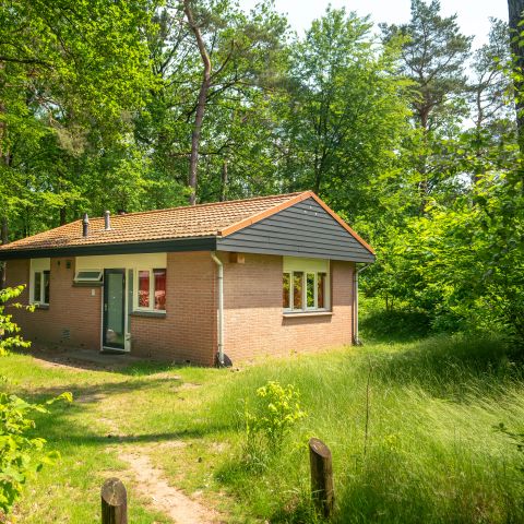 Bungalow 4 persons - 4B