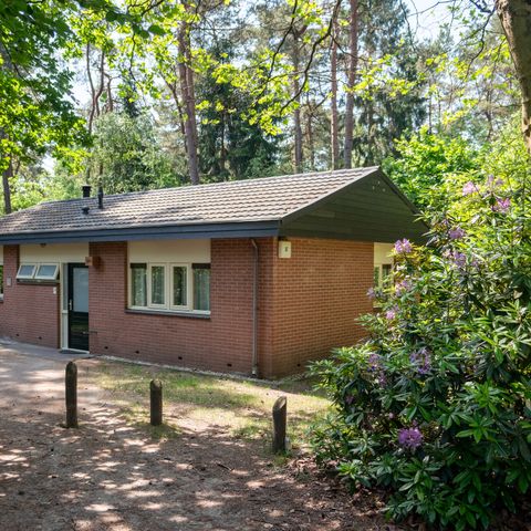 Bungalow 8 persons - 8C