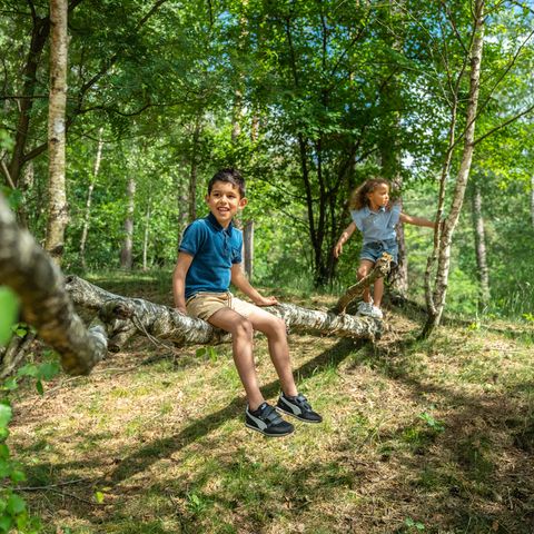 Landal Miggelenberg - Apeldoorn - Image N°2