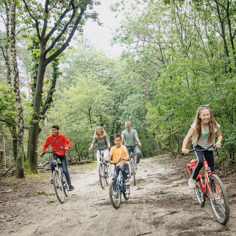 Landal Miggelenberg - Apeldoorn - Image N°5