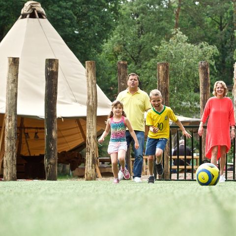 Landal Miggelenberg - Apeldoorn - Image N°6