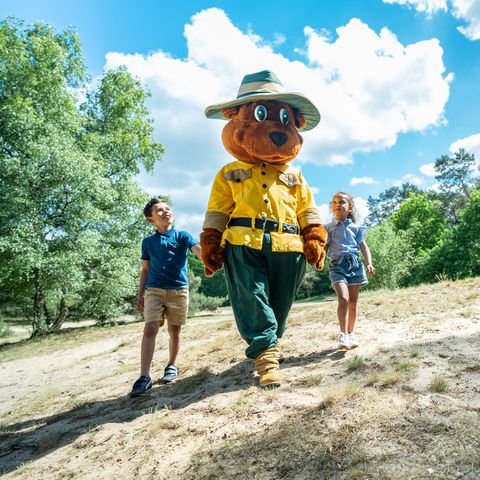 Landal Miggelenberg - Apeldoorn - Image N°4