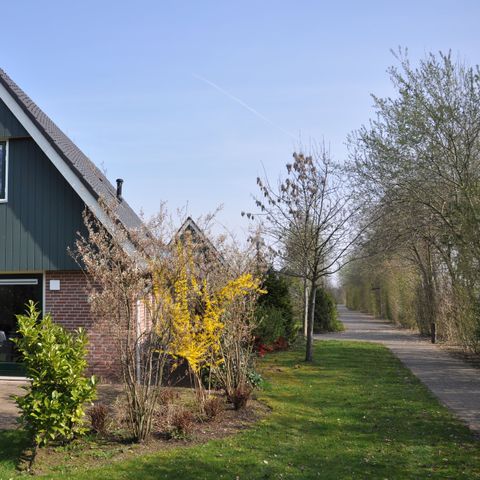 Bungalow 6 persons - VWL5