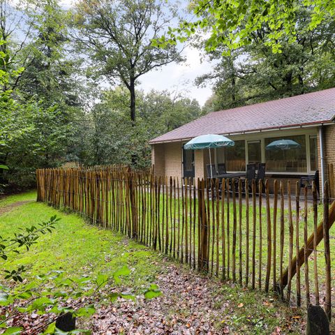 BUNGALOW 6 people - Dog 6BD