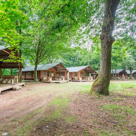 Canvas and wooden tent 6 persons - 6ST