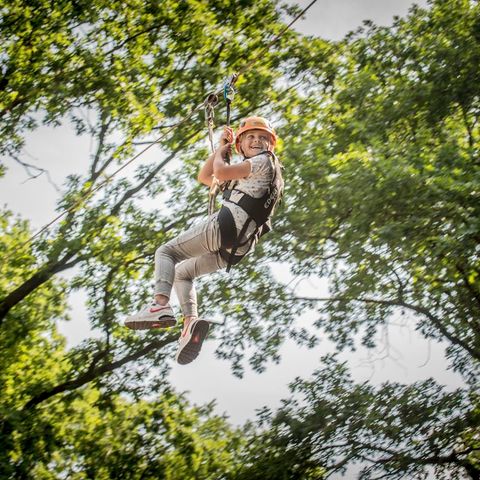 Landal Rabbit Hill - Camping Apeldoorn - Image N°3