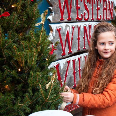 Attractie- & Vakantiepark Slagharen - Hardenberg - Image N°6